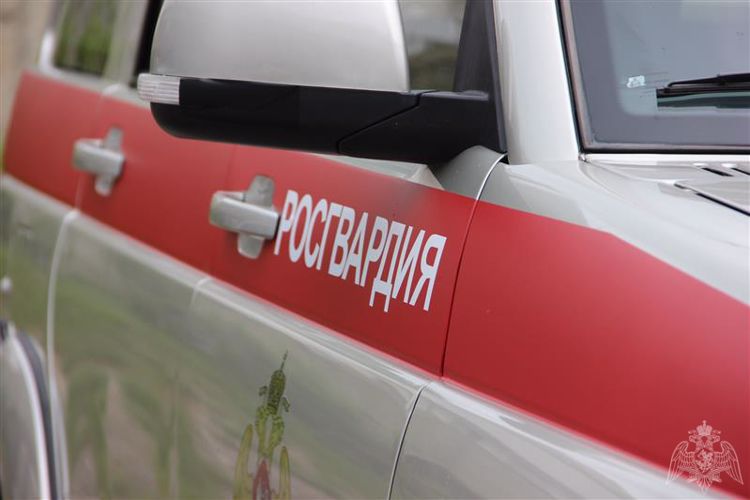 Сотрудники Росгвардии задержали мужчину, подозреваемого в порче рекламных билбордов в центре Курска