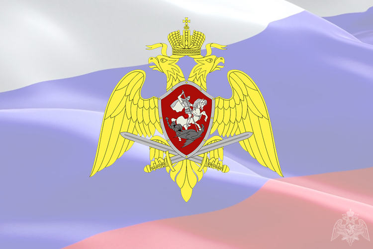Росгвардия установила особенности осуществления в 2020 году разрешительной деятельности 