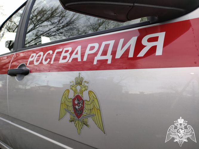 Курские росгвардейцы за прошедшую неделю пресекли свыше 140 административных правонарушений