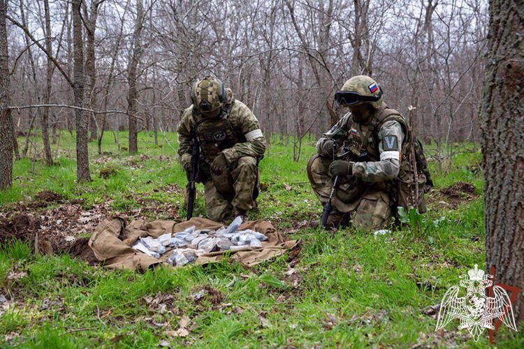 Более 35 килограммов взрывчатки обнаружил спецназ Росгвардии в замаскированном схроне на территории Запорожской области