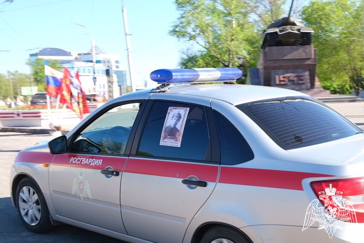 В Курске росгвардейцы присоединились к Всероссийской акции «Бессмертный автополк»