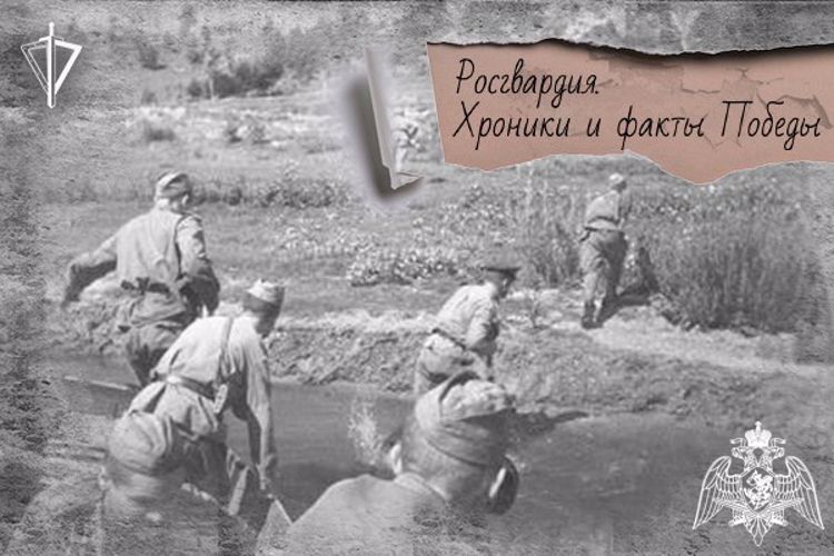 80 лет назад воины-чекисты прорвали "Голубую линию" в ходе битвы за Кавказ