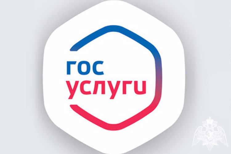 Росгвардейцы напоминают курянам о предоставлении государственных услуг в электронном виде