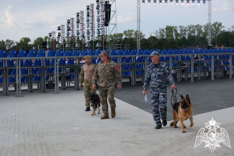 Росгвардейцы обеспечили безопасность на мероприятиях в честь 80-летия победы в Курской битве