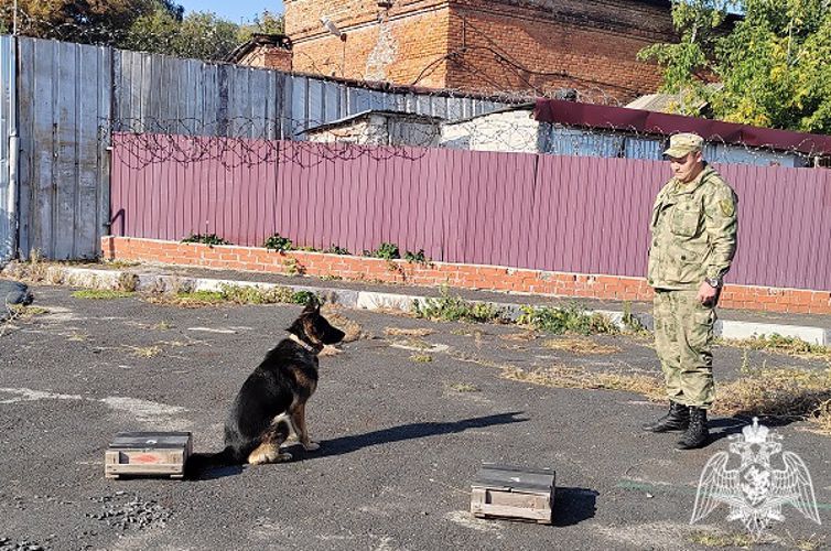 Курские школьники побывали в гостях у кинологов регионального Управления Росгвардии