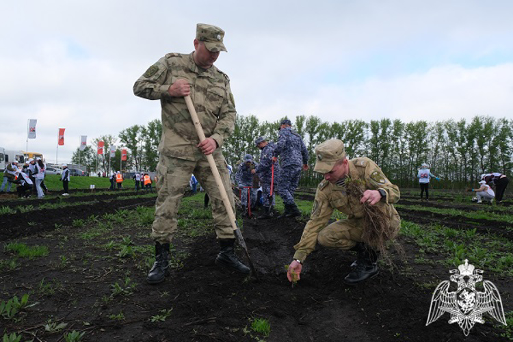 В Курске Росгвардия присоединилась к акции «Сад памяти»