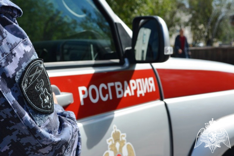 Курские росгвардейцы за прошедшую неделю выезжали 272 раза по сигналу «Тревога» 
