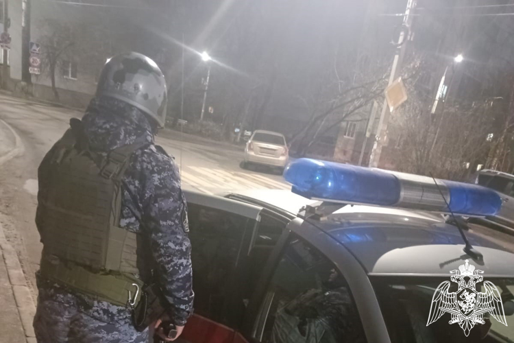 В Курске сотрудники Росгвардии задержали нетрезвого водителя