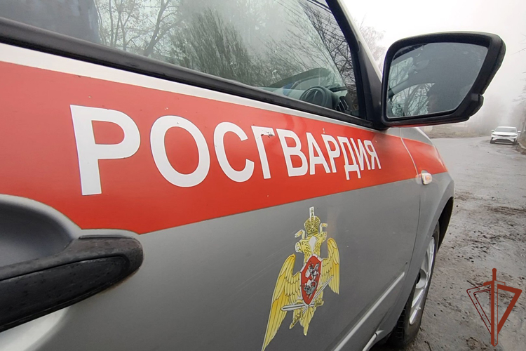 Курские росгвардейцы за прошедшую неделю выезжали 248 раз по сигналу «тревога»