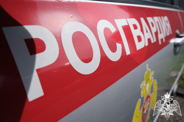Курские росгвардейцы за прошедшую неделю выезжали 249 раз по сигналу «тревога» 