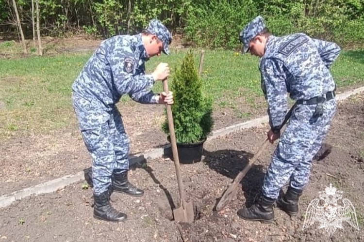 В Курской области росгвардейцы провели патриотические мероприятия в честь 80-летия Победы