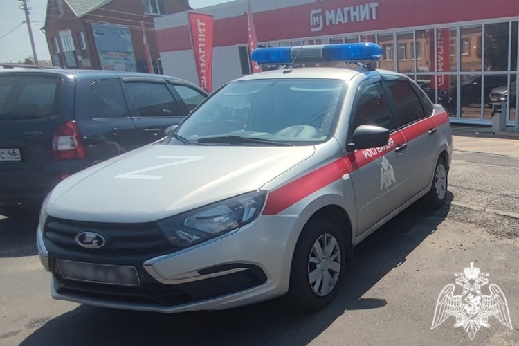 Росгвардейцы задержали подозреваемую в краже жительницу поселка Прямицыно