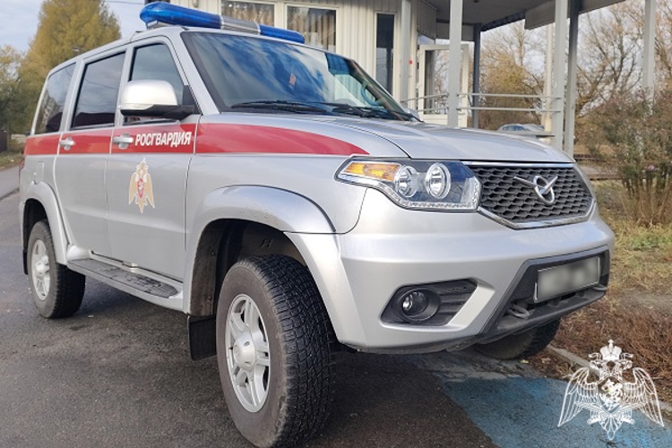 В Курске росгвардейцы задержали мужчину, разбившего стеклопакет двери торгового павильона