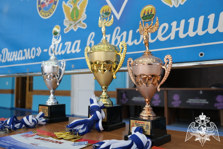 В Курске сотрудники Росгвардии стали призерами соревнований по перетягиванию каната