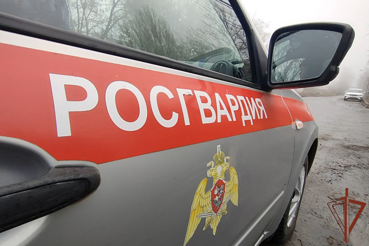 Курские росгвардейцы за прошедшую неделю выезжали 246 раз по сигналу «тревога» 