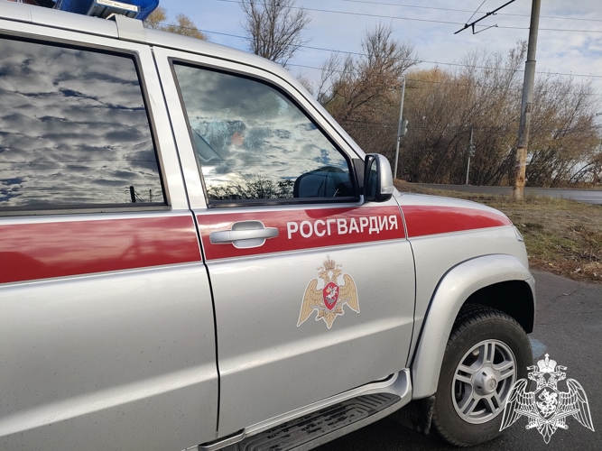 Курские росгвардейцы за прошедшую неделю выезжали 223 раза по сигналу «тревога» 