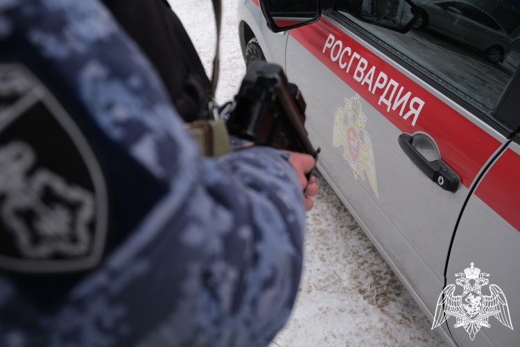  Курской области росгвардейцы за прошедшую неделю совершили 295 выездов по сигналу «тревога» 