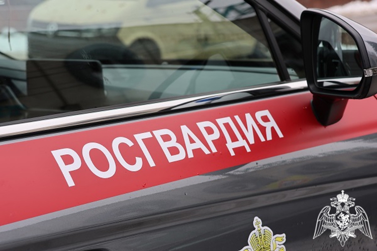 В Курской области росгвардейцы за прошедшую неделю совершили 228 выездов по сигналу «тревога» 