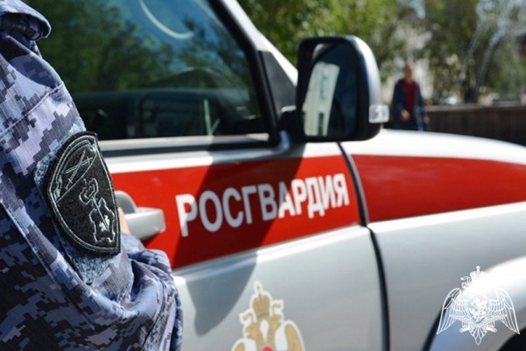 В Курской области росгвардейцы за прошедшую неделю совершили более 260  выездов по сигналу «тревога» 