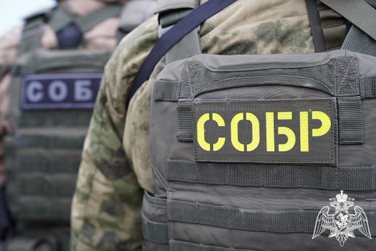 При содействии Росгвардии задержаны подозреваемые в совершении разбойного нападения в Курской области