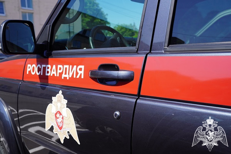 В Курской области росгвардейцы за прошедшую неделю совершили более 259  выездов по сигналу «тревога» 