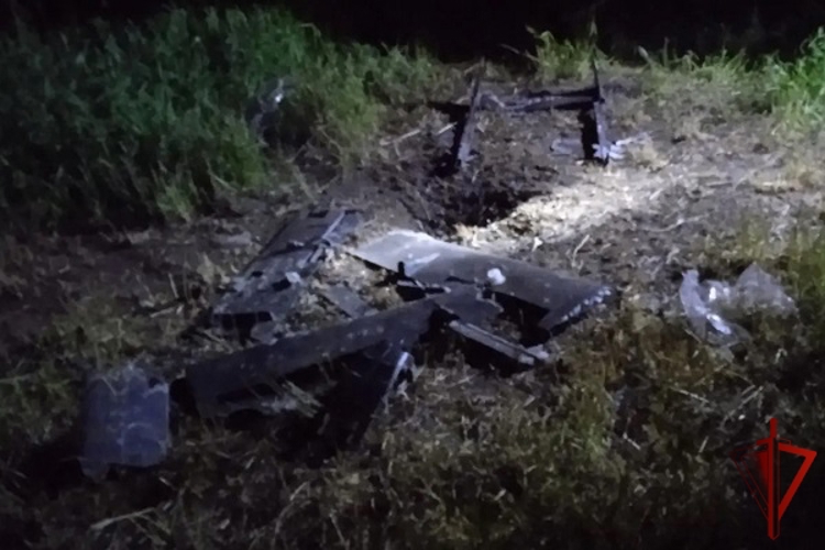 В Курской области росгвардейцы за неделю поразили три и обезвредили семь БПЛА противника