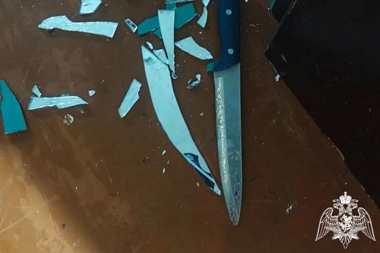 В Курске росгвардейцы задержали мужчину, напавшего с ножом на сестру