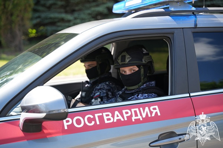 В Курской области росгвардейцы за прошедшую неделю совершили 258 выездов по сигналу «тревога» 