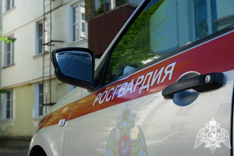 В Курской области росгвардейцы за прошедшую неделю совершили 265 выездов по сигналу «тревога» 