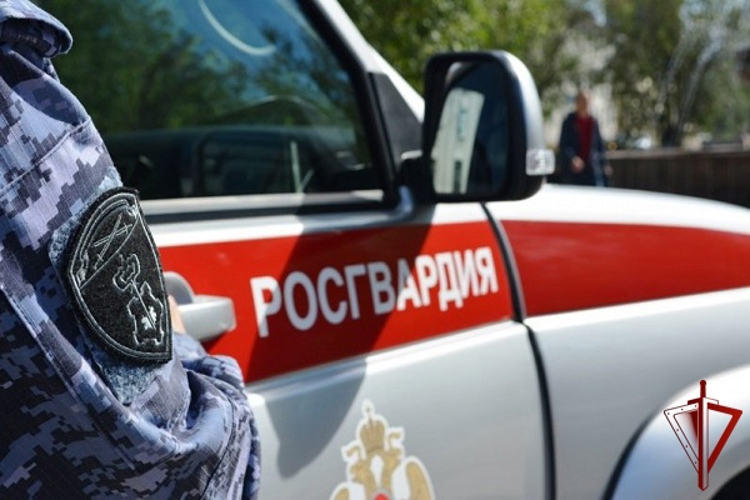 В Курской области росгвардейцы за прошедшую неделю совершили 250 выездов по сигналу «тревога» 