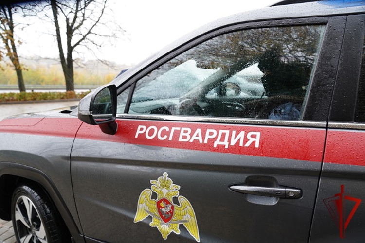 В Курской области росгвардейцы за прошедшую неделю совершили 297 выездов по сигналу «тревога» 