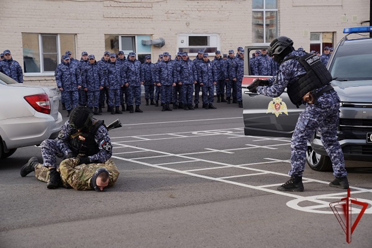 День вневедомственной охраны: курские росгвардейцы на страже безопасности