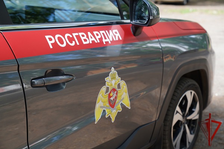 В Курской области росгвардейцы за прошедшую неделю совершили 218 выездов по сигналу «тревога» 